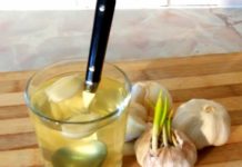 SVI ZNAMO KOLIKO JE LJEKOVIT BIJELI LUK, ALI OVO DO SADA NISTE ČULI: Voda od bijelog luka pravi ČUDA U ORGANIZMU, evo na šta sve utiče SVI ZNAMO KOLIKO JE LJEKOVIT BIJELI LUK, ALI OVO DO SADA NISTE ČULI: Voda od bijelog luka pravi ČUDA U ORGANIZMU, evo na šta sve utiče - featured image