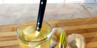 SVI ZNAMO KOLIKO JE LJEKOVIT BIJELI LUK, ALI OVO DO SADA NISTE ČULI: Voda od bijelog luka pravi ČUDA U ORGANIZMU, evo na šta sve utiče SVI ZNAMO KOLIKO JE LJEKOVIT BIJELI LUK, ALI OVO DO SADA NISTE ČULI: Voda od bijelog luka pravi ČUDA U ORGANIZMU, evo na šta sve utiče - featured image