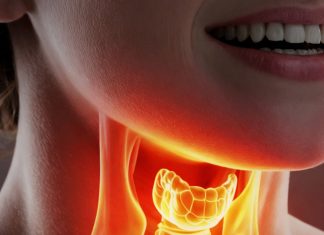 Štitnjača ne trpi ovih 5 stvari – izbacite ih i gledajte kako kilogrami sami padaju, a energija se vraća! Štitnjača ne trpi ovih 5 stvari – izbacite ih i gledajte kako kilogrami sami padaju, a energija se vraća! - featured image
