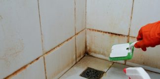 Kako da očistite ćoškove u tuš kabini? Razara kamenac, skine svu buđ i pločice čiste kao suza Kako da očistite ćoškove u tuš kabini? Razara kamenac, skine svu buđ i pločice čiste kao suza - featured image