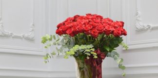 Cvijeće u vazi neće uvenuti mjesec dana! Cvjećarka otkrila trik koji koristi za svježinu Cvijeće u vazi neće uvenuti mjesec dana! Cvjećarka otkrila trik koji koristi za svježinu - featured image