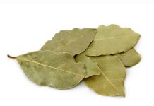 Stavite list lovora u čarapu: Prirodni lijek koji ublažava bolove tokom noći Stavite list lovora u čarapu: Prirodni lijek koji ublažava bolove tokom noći - featured image