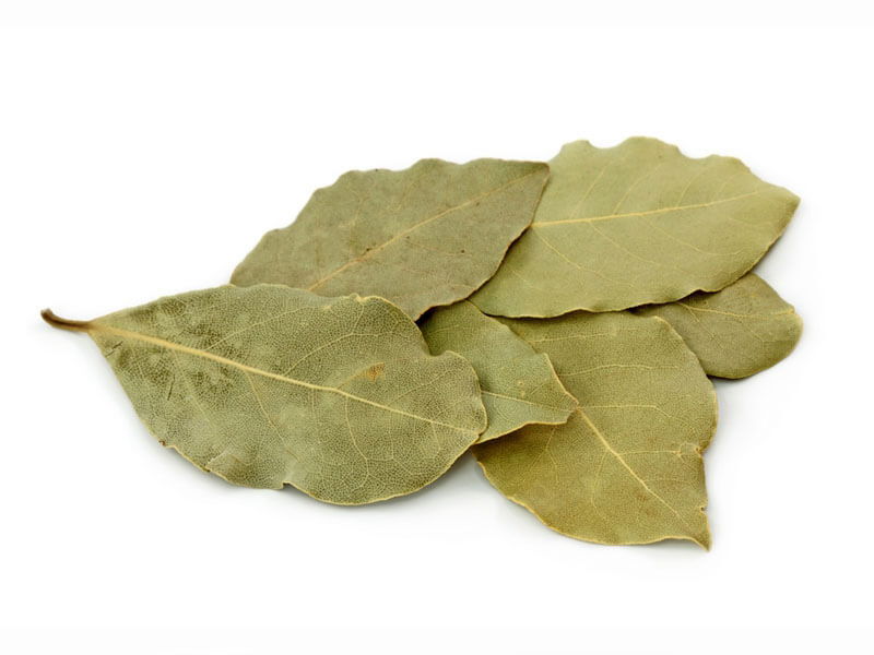 Stavite list lovora u čarapu: Prirodni lijek koji ublažava bolove tokom noći - featured image Stavite list lovora u čarapu: Prirodni lijek koji ublažava bolove tokom noći - featured image