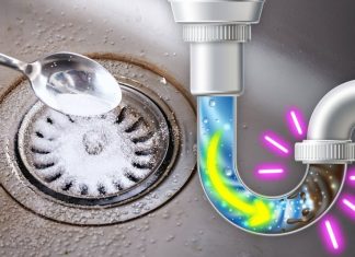 Ovo odčepljuje odvod bolje od mašine! SMRAD NESTAJE Ovo odčepljuje odvod bolje od mašine! SMRAD NESTAJE - featured image