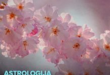 Od 1. aprila kreće najljepše vrijeme za ova 3 horoskopska znaka Od 1. aprila kreće najljepše vrijeme za ova 3 horoskopska znaka - featured image
