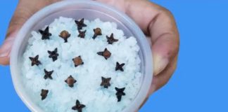 Kupatilo moje svekrve uvek lepo miriše, samo otvori vrata: 0V0 JE NJENA TAJNA! Kupatilo moje svekrve uvek lepo miriše, samo otvori vrata: 0V0 JE NJENA TAJNA! - featured image