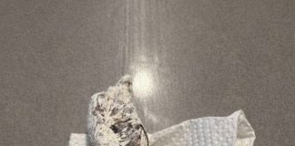 Pronašla sam nešto čudno u pakovanju brašna: odlučila sam otvoriti celofan da vidim šta je unutra… i kada sam shvatila šta je, bila sam potpuno šokirana. Pronašla sam nešto čudno u pakovanju brašna: odlučila sam otvoriti celofan da vidim šta je unutra… i kada sam shvatila šta je, bila sam potpuno šokirana. - featured image