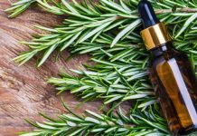 Kosa raste kao luda i PRESTAJE da opada: ŽIVA VODA za kosu, efekat će vas oduševiti! Kosa raste kao luda i PRESTAJE da opada: ŽIVA VODA za kosu, efekat će vas oduševiti! - featured image