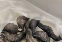 Strani susjedi su mi dali ovo i poželjeli mi „prijatno“, ali bilo je nešto tvrdo i uopće nije ličilo na hranu, više kao jaje. Strani susjedi su mi dali ovo i poželjeli mi „prijatno“, ali bilo je nešto tvrdo i uopće nije ličilo na hranu, više kao jaje. - featured image