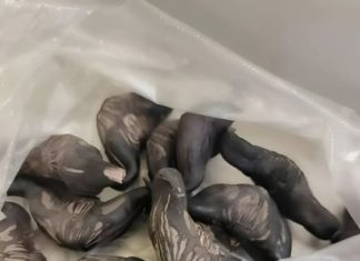 Strani susjedi su mi dali ovo i poželjeli mi „prijatno“, ali bilo je nešto tvrdo i uopće nije ličilo na hranu, više kao jaje. Strani susjedi su mi dali ovo i poželjeli mi „prijatno“, ali bilo je nešto tvrdo i uopće nije ličilo na hranu, više kao jaje. - featured image