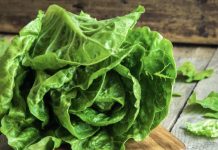 EVO KAKO DA VAM ZELENA SALATA OSTANE SVEŽA I DO MESEC DANA: Samo ispoštuje ovo jednostavno pravilo! EVO KAKO DA VAM ZELENA SALATA OSTANE SVEŽA I DO MESEC DANA: Samo ispoštuje ovo jednostavno pravilo! - featured image