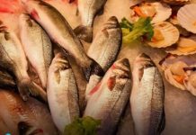 Ovo je najgora vrsta ribe po zdravlje: Svi je kupuju Ovo je najgora vrsta ribe po zdravlje: Svi je kupuju - featured image