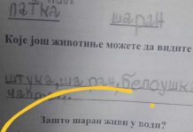 Na pitanje “zašto šaran živi u vodi” đak prvak dao URNEBESAN ODGOVOR: Kad malo bolje razmislite, zapravo je GENIJALAN Na pitanje “zašto šaran živi u vodi” đak prvak dao URNEBESAN ODGOVOR: Kad malo bolje razmislite, zapravo je GENIJALAN - featured image