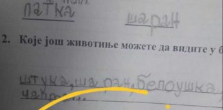 Na pitanje “zašto šaran živi u vodi” đak prvak dao URNEBESAN ODGOVOR: Kad malo bolje razmislite, zapravo je GENIJALAN Na pitanje “zašto šaran živi u vodi” đak prvak dao URNEBESAN ODGOVOR: Kad malo bolje razmislite, zapravo je GENIJALAN - featured image