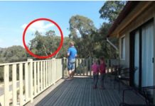 OTAC ILIJA UHVAĆEN SA ĆERKAMA NA BALKONU, MAJKA ODMAH IZLETJELA: Vrištali su dok su to radili (VIDEO) OTAC ILIJA UHVAĆEN SA ĆERKAMA NA BALKONU, MAJKA ODMAH IZLETJELA: Vrištali su dok su to radili (VIDEO) - featured image