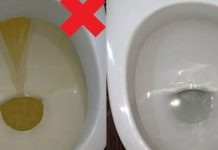 Nije sirće ni soda bikarbona: Ovo sredstvo najbolje uklanja kamenac u WC šolji Nije sirće ni soda bikarbona: Ovo sredstvo najbolje uklanja kamenac u WC šolji - featured image