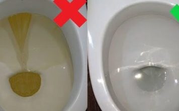 Nije sirće ni soda bikarbona: Ovo sredstvo najbolje uklanja kamenac u WC šolji Nije sirće ni soda bikarbona: Ovo sredstvo najbolje uklanja kamenac u WC šolji - featured image