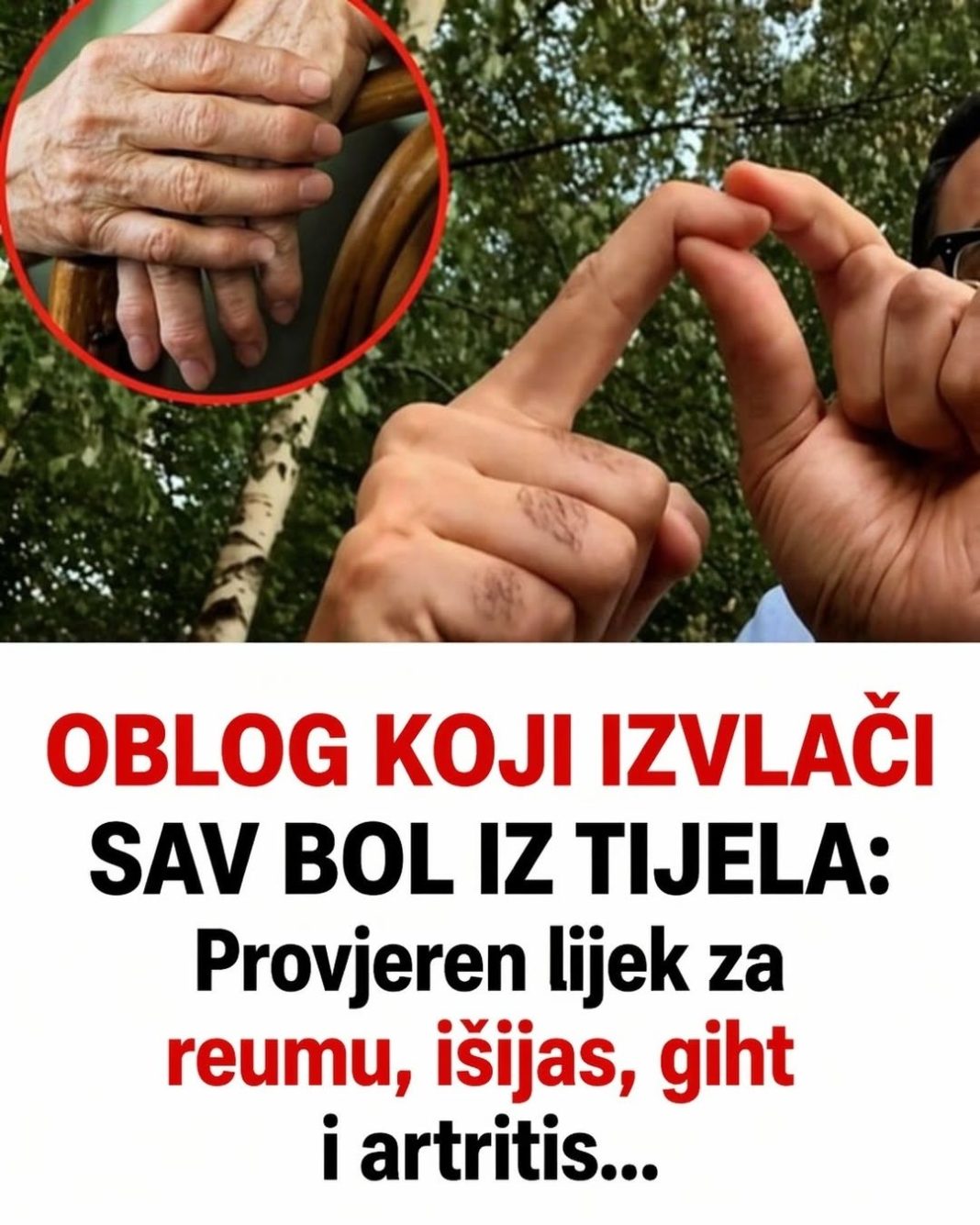 OBLOG KOJI IZVLAČI SAV BOL IZ TIJELA: Provjeren lijek za reumu, išijas, giht i artritis… - featured image