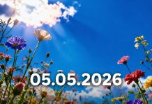 Od 5. maja počinje period promjena: šta astrolozi predviđaju za Bikove i Strijelčeve u narednim godinama Od 5. maja počinje period promjena: šta astrolozi predviđaju za Bikove i Strijelčeve u narednim godinama - featured image