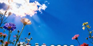 Od 5. maja počinje period promjena: šta astrolozi predviđaju za Bikove i Strijelčeve u narednim godinama Od 5. maja počinje period promjena: šta astrolozi predviđaju za Bikove i Strijelčeve u narednim godinama - featured image