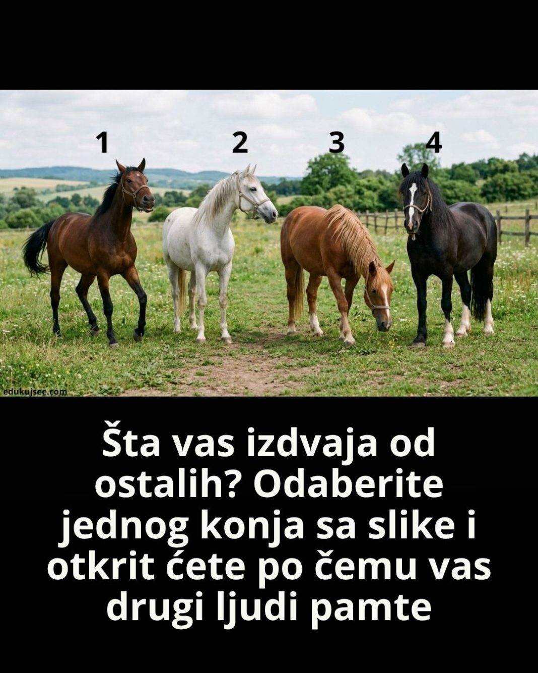 Šta vas izdvaja od ostalih?Odaberite jednog konja sa slike i otkrit ćete po čemu vas drugi ljudi pamte - featured image