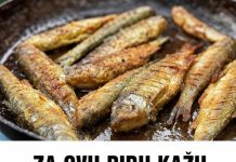 ZA OVU RIBU KAŽU DA JE NAJZDRAVIJA: Jedna porcija nedjeljno zaštitiće vaše srce, sniziti holesterol i popraviti memoriju ZA OVU RIBU KAŽU DA JE NAJZDRAVIJA: Jedna porcija nedjeljno zaštitiće vaše srce, sniziti holesterol i popraviti memoriju - featured image