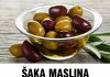 ŠAKA MASLINA VAS MOŽE SAČUVATI OD OVOGA ŠAKA MASLINA VAS MOŽE SAČUVATI OD OVOGA - featured image