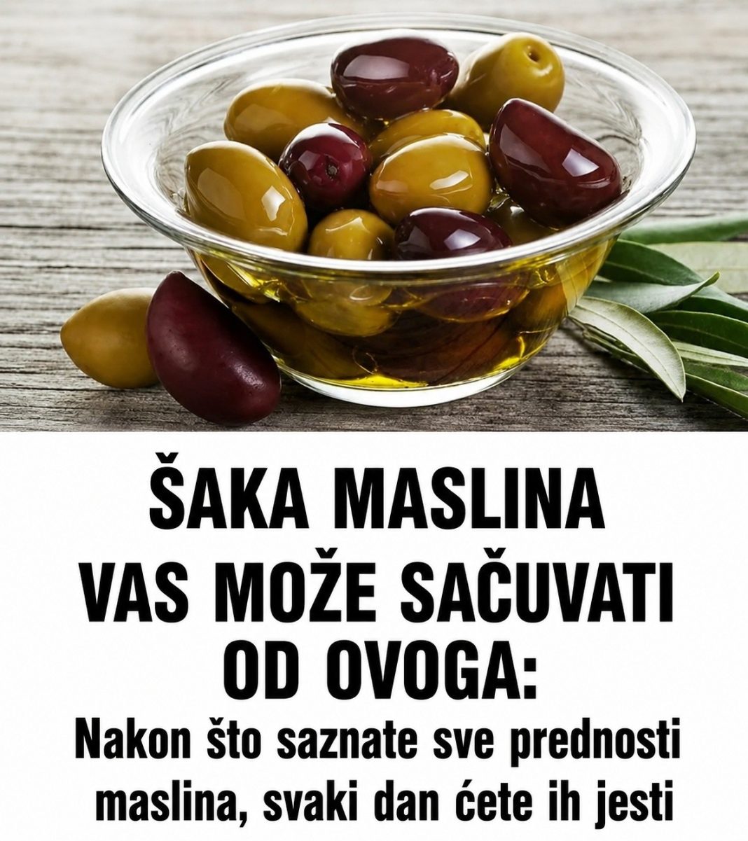 ŠAKA MASLINA VAS MOŽE SAČUVATI OD OVOGA - featured image