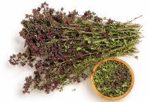 Ovo je najzdraviji čaj na svetu: Sprečava sve od obične prehlade do kancera! (RECEPT) Ovo je najzdraviji čaj na svetu: Sprečava sve od obične prehlade do kancera! (RECEPT) - featured image