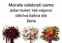 Odaberite jedan buket cvijeća: Ono što prvo privuče vašu pažnju može otkriti nešto zanimljivo o vašoj ličnosti Odaberite jedan buket cvijeća: Ono što prvo privuče vašu pažnju može otkriti nešto zanimljivo o vašoj ličnosti - featured image