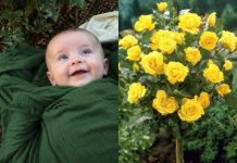 Neko je ostavio bebu u mom ružičnjaku s porukom u kojoj me moli da ga čuvam: Ono što mi je bezbednosna kamera pokazala sledećeg dana srušilo mi je ceo svet Neko je ostavio bebu u mom ružičnjaku s porukom u kojoj me moli da ga čuvam: Ono što mi je bezbednosna kamera pokazala sledećeg dana srušilo mi je ceo svet - featured image