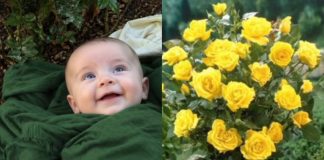 Neko je ostavio bebu u mom ružičnjaku s porukom u kojoj me moli da ga čuvam: Ono što mi je bezbednosna kamera pokazala sledećeg dana srušilo mi je ceo svet Neko je ostavio bebu u mom ružičnjaku s porukom u kojoj me moli da ga čuvam: Ono što mi je bezbednosna kamera pokazala sledećeg dana srušilo mi je ceo svet - featured image