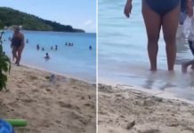 Snimak sa plaže koji ljudi gledaju po 10 puta zaredom: “Možete da kažete šta hoćete, ali ja joj skidam kapu” Snimak sa plaže koji ljudi gledaju po 10 puta zaredom: “Možete da kažete šta hoćete, ali ja joj skidam kapu” - featured image