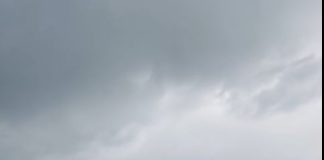 Šestogodišnji dječak vidio mokar konopac pored rijeke: povukao ga je, a nekoliko minuta kasnije isplivalo je nešto zastrašujuće 😨😱 Šestogodišnji dječak vidio mokar konopac pored rijeke: povukao ga je, a nekoliko minuta kasnije isplivalo je nešto zastrašujuće 😨😱 - featured image