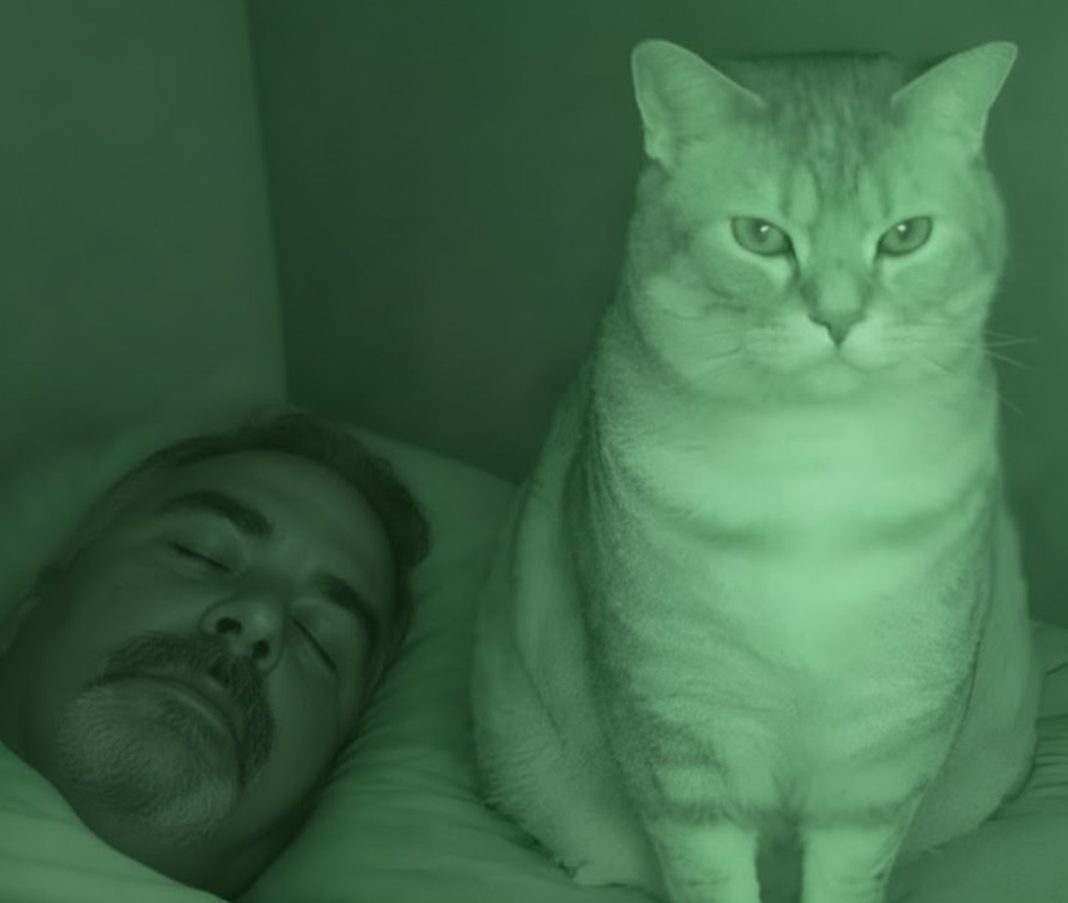 Nisam razumela zašto nas mačka svake noći posmatra mene i mog muža dok spavamo. - featured image Nisam razumela zašto nas mačka svake noći posmatra mene i mog muža dok spavamo. - featured image