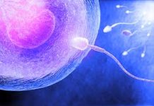 Pet stvari ukazuje da je muškarac neplodan – evo koje Pet stvari ukazuje da je muškarac neplodan – evo koje - featured image