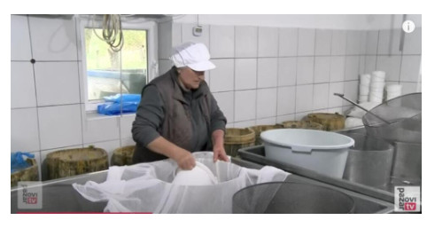 Svekar izbarao 7 žena za svoje sinove i svaku okitio zlatom: Najstarija jetrva otkrila kako žive i zabezeknula ljude - featured image Svekar izbarao 7 žena za svoje sinove i svaku okitio zlatom: Najstarija jetrva otkrila kako žive i zabezeknula ljude - featured image