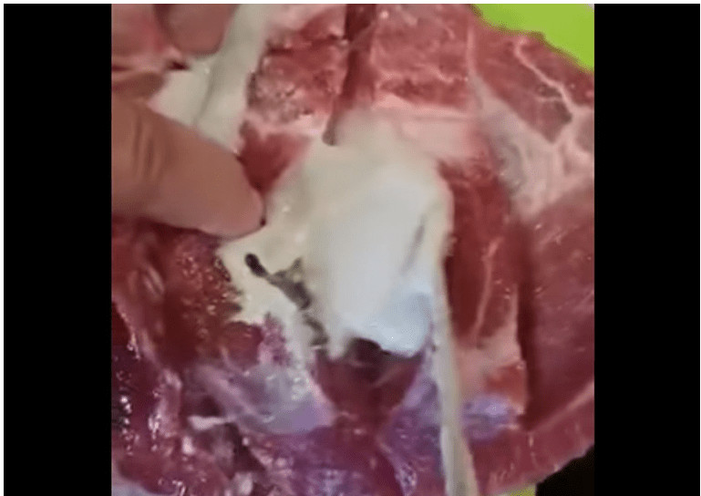 VIDEO Puljanin kupio meso iz kojeg je iscurilo nešto odvratno, pogledajte snimku - featured image VIDEO Puljanin kupio meso iz kojeg je iscurilo nešto odvratno, pogledajte snimku - featured image